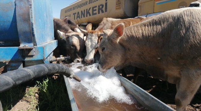Kayseri'de Kovid-19 karantinasında bulunan besicinin hayvanlarının su ihtiyacını belediye karşıladı 