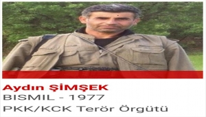 "Kırmızı" kategoride 10 milyon lira ödülle aranan terörist etkisiz hale getirildi