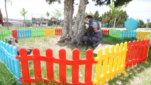 Konya'da 11 köpeğe şiddet uyguladığı belirlenen kadın hakkında yasal işlem başlatıldı