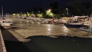 Kurbağalıdere'de "deniz salyası" nedeniyle beyaz tabaka oluştu