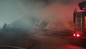 Manisa'da besi çiftliğinde çıkan yangına müdahale ediliyor