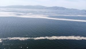 Marmara Denizi'nin birçok noktasına yayılan "deniz salyası" Bandırma Körfezi'ni de kapladı