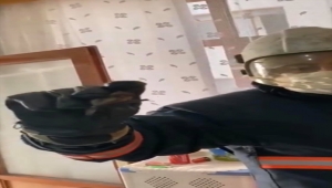 Mersin'de evin mutfağındaki davlumbaza giren 4 yarasa çıkarılıp doğaya bırakıldı