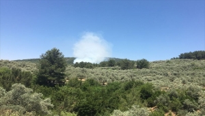 Muğla'da çıkan orman yangını kontrol altına alınmaya çalışılıyor