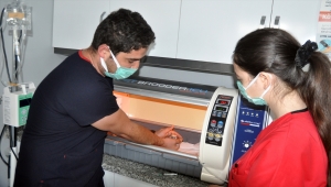 Muğla'da şırınga yardımıyla sütle beslenen kedi yavrusu kuvözde tedavi ediliyor