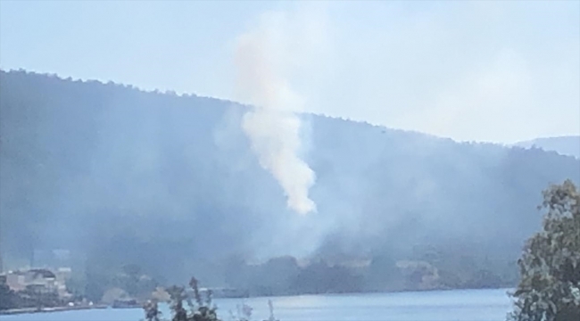 Muğla'nın Bodrum ilçesinde orman yangını çıktı