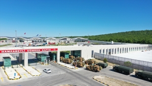 NATO Steadfast Defender 2021 Tatbikatı'na katılmak üzere yola çıkan Mehmetçik, Hamzabeyli Sınır Kapısından Bulgaristan'a geçiş yaptı