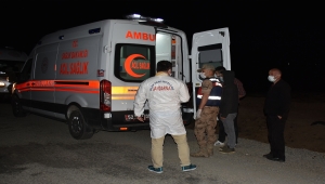 Ordu'da gölete giren 2 genç boğuldu