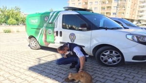 Osmaniye'de evde mahsur kalan sokak kedisi kurtarıldı