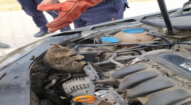 Osmaniye'de otomobilin motor bölümünde sıkışan kedi yavrusunu itfaiye kurtardı