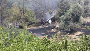 Osmaniye'de tarladan ormanlık alana sıçrayan anız yangını kontrol altına alındı