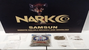 Samsun'da düzenlenen "torbacı" operasyonunda iki şüpheli yakalandı