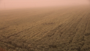 Şanlıurfa'da toz fırtınası hayatı olumsuz etkiledi