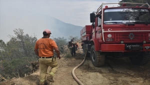 Sinop'ta çıkan orman yangını kontrol altına alındı