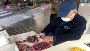 Sinop'ta kısıtlama günlerinde balık tezgahları boş kalmıyor