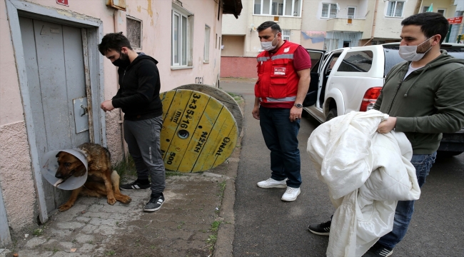 Sivas'ta ameliyat sonrası rahatsızlanan köpeği Vefa Sosyal Destek Grubu hastaneye götürdü