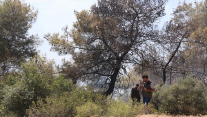Tarım ve Orman Bakanı Bekir Pakdemirli, Hatay'da fidan dikim sahasını inceledi: