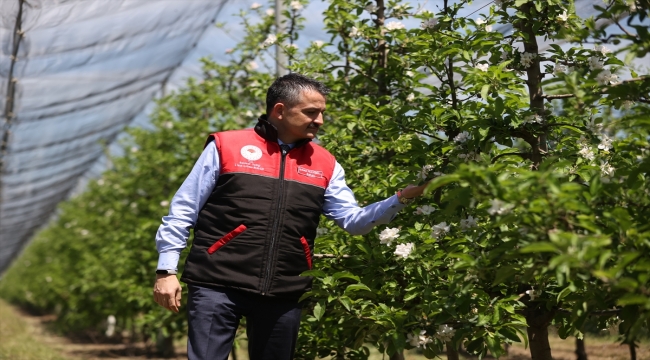 Tarım ve Orman Bakanı Pakdemirli, Balıkesir'de üretici destek ödemelerine ilişkin açıklama yaptı: