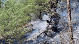 Uşak'ta orman yangını söndürüldü