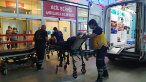 Adana'da üzerine ağaç devrilen otomobildeki iki kişi yaralandı