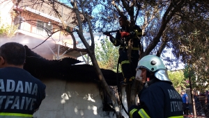 Adana'da yangın çıkan evlerinde mahsur kalan anne ve 2 çocuğunu itfaiye ekibi kurtardı