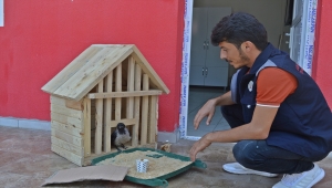 Adıyaman'da itfaiyeciler kurtardıkları yaralı karganın bakımını üstlendi