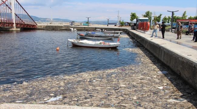Balıkesir'de müsilaj temizliği devam ediyor