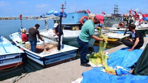 Batı Karadeniz'de kıyı balıkçılığı başladı 
