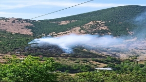 Bingöl'de çıkan orman yangınları büyümeden söndürüldü