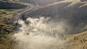 Bitlis'te küçükbaş hayvan sürülerinin Nemrut Dağı'na yolculuğu başladı