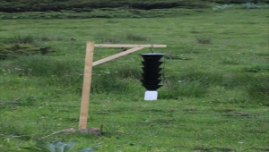 Bolu'da orman zararlıları ile feromon tuzaklarla mücadele ediliyor