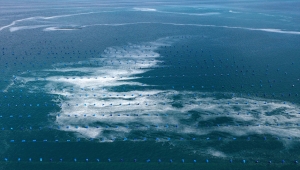 Çanakkale Boğazı'nda müsilaj yoğunluğu sürüyor 