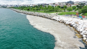 Deniz salyası Anadolu Yakası'nda bazı bölgelerde görülmeye devam ediyor