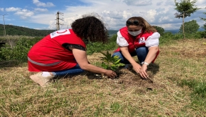 Düzce'de Kızılayın kuruluşunun 153. yılı anısına hatıra ormanı oluşturuldu