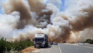 Elazığ'da 100 dönüm buğday ve arpa ekili alan yandı