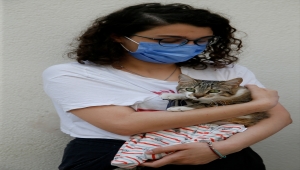 Felçli kediyi ameliyat ettirerek hayata bağlayan iki hayvansever bakım için destek istiyor