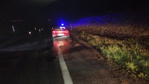 Giresun'da otomobilin çarptığı 4 yaşındaki çocuk öldü
