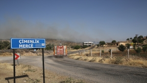 GÜNCELLEME - Mardin'de ormanlık alanda çıkan yangın söndürüldü