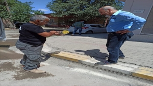 Iğdır'da bir kümesteki civcivleri yemeye çalışan yılan yakalanıp doğal ortamına bırakıldı