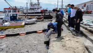 İstanbul Üniversitesi, müsilajı temizlemek için deniz bakterilerini kullanacak