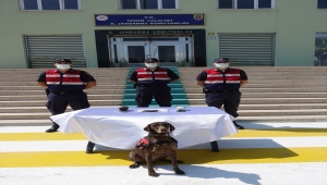 Kaçak kazıda bulduğunu söylediği buğdayları İzmir'de satmaya çalışan şüpheli yakalandı