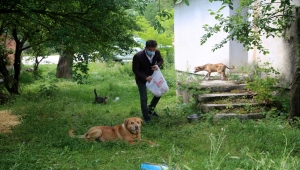 Kanala atılan görme engelli köpeğe treyler operatörü sahip çıktı