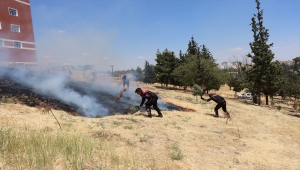 Kilis'te parkta çıkan yangını polis ekipleri söndürdü