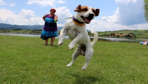 Köpekleri Tarçın ile karavanla Karadeniz turuna çıktılar