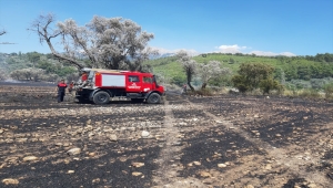 Muğla'da çıkan arazi, anız ve konteyner yangınları söndürüldü