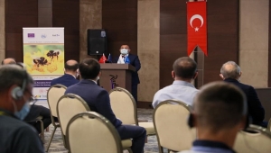 Ordu'da düzenlenen Uluslararası Karadeniz Arıcılık Konferansı ile arıcılar deneyimlerini paylaştı
