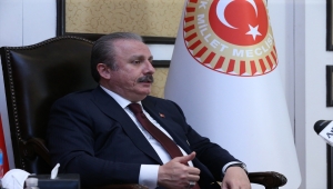 TBMM Başkanı Şentop, İsrail'in yargılanmasına yönelik atılacak adımları desteklediklerini söyledi:
