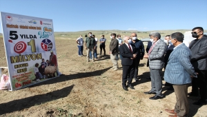 Van'da 16 besiciye 1600 küçükbaş hayvan desteği sağlandı