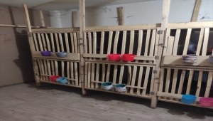 Van'da horoz dövüştürülen iş yerindeki 24 kişiye 32 bin 64 lira ceza verildi