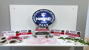 Yalova'da düzenlenen uyuşturucu operasyonunda iki kişi tutuklandı